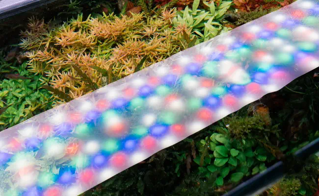Aquascape Lighting Guide