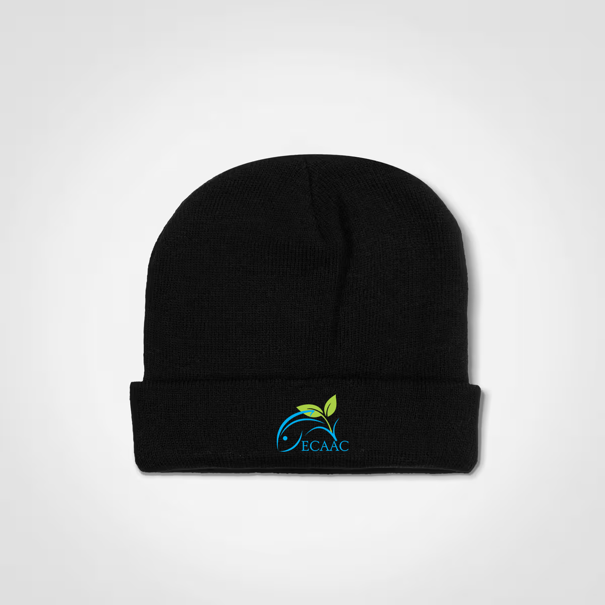 ECAAC Beanie - black