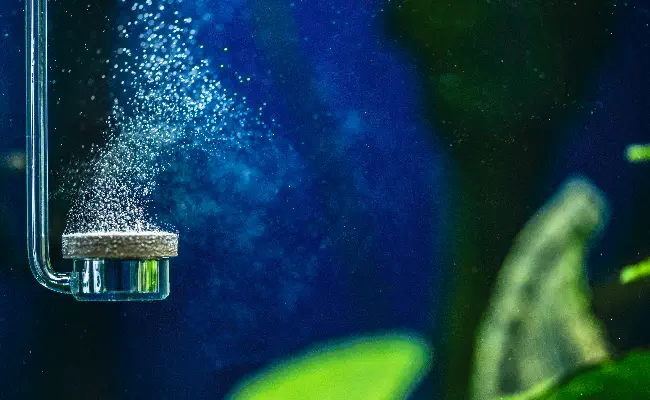 CO2 Systems Explained