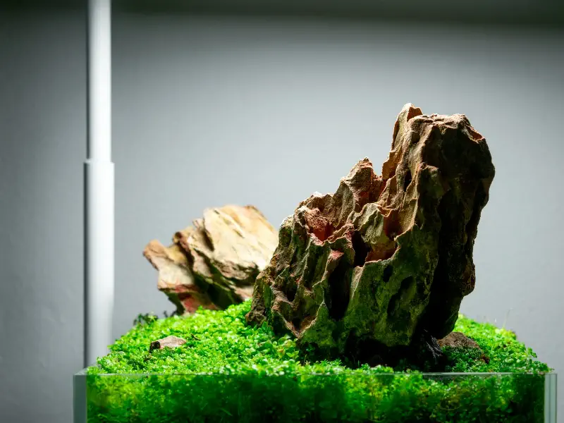 Dragon Stone / Ohko Stone
