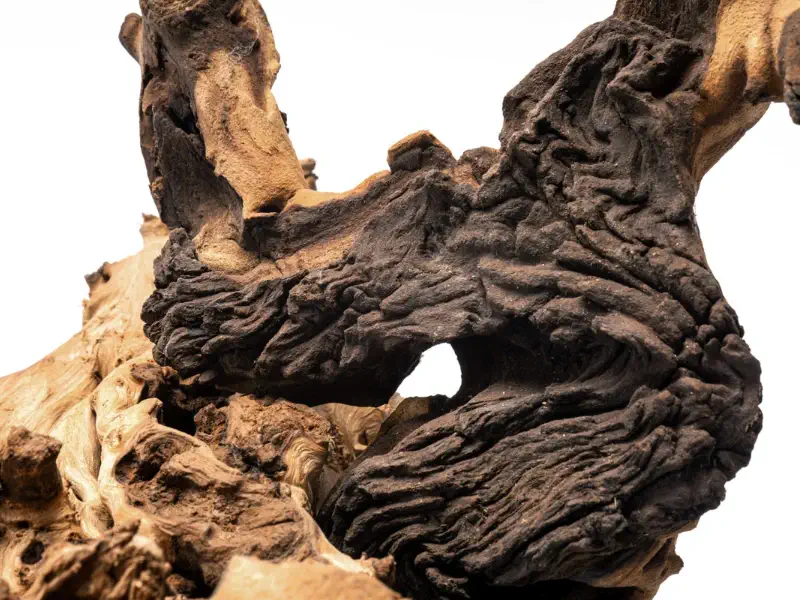 Mopani Wood