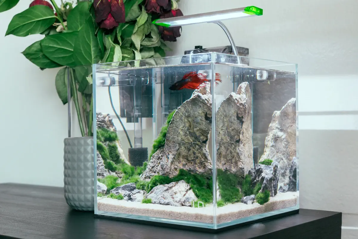 Nano aquarium tank